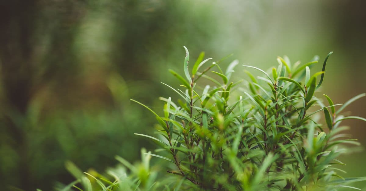 Running Email Campaigns in Odoo: A Practical Guide for Hong Kong SMEs