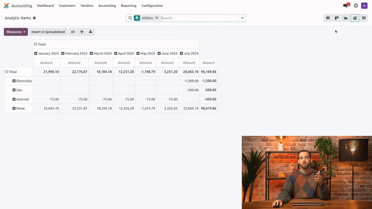 Pivot view of analytic items showing amount breakdown