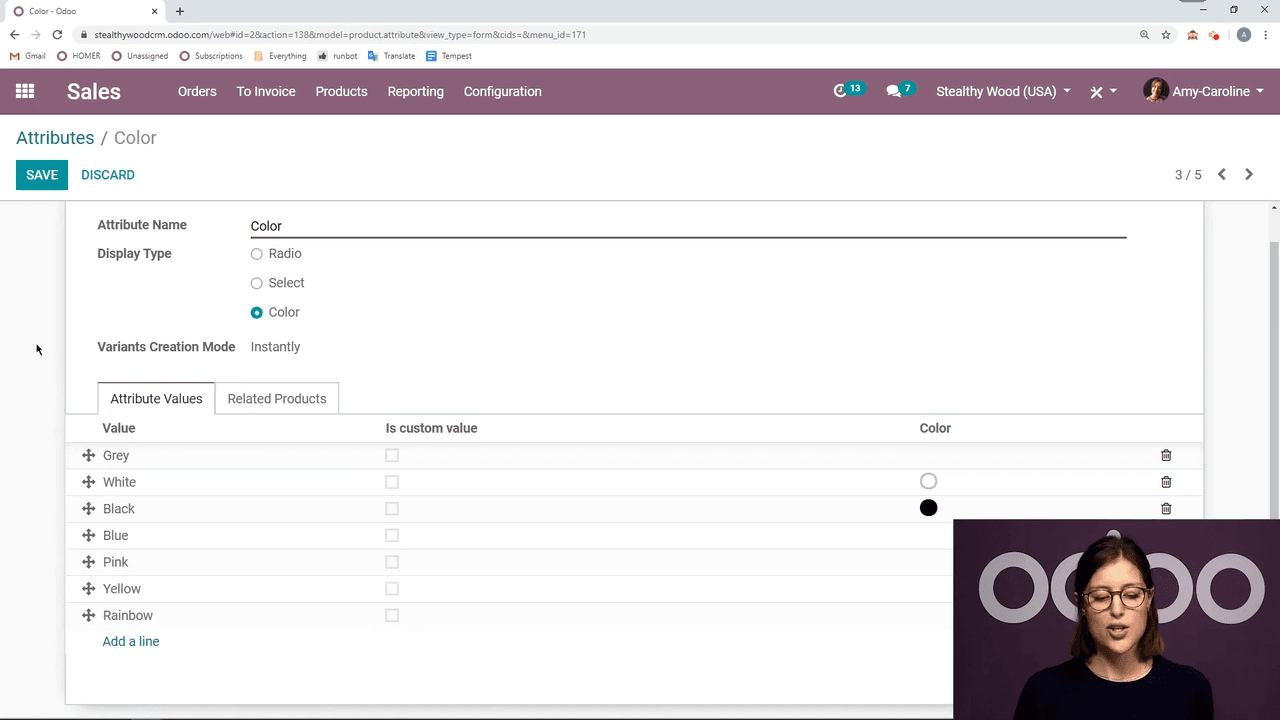 Color attribute detail view with values and HTML color codes