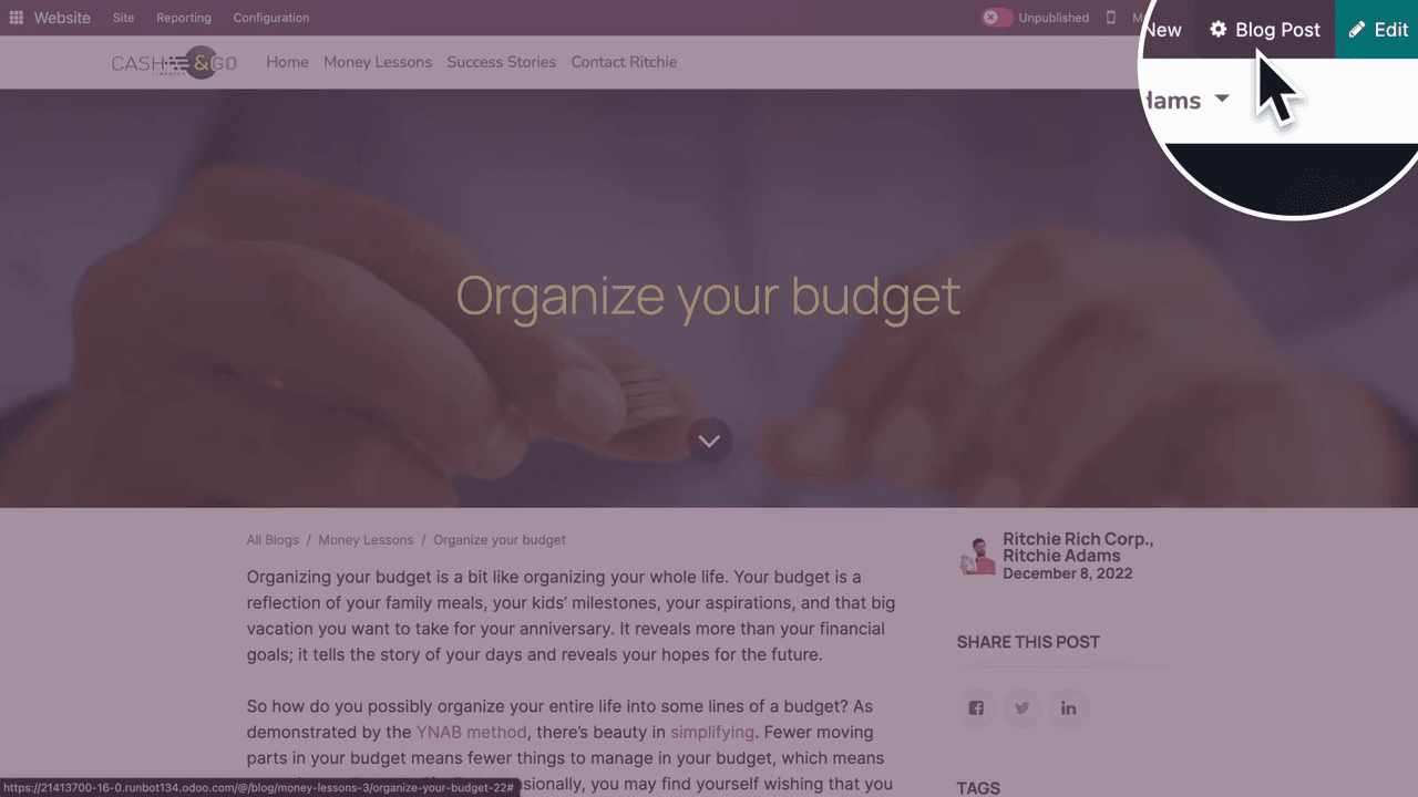 Blog post settings showing comments toggle and tags