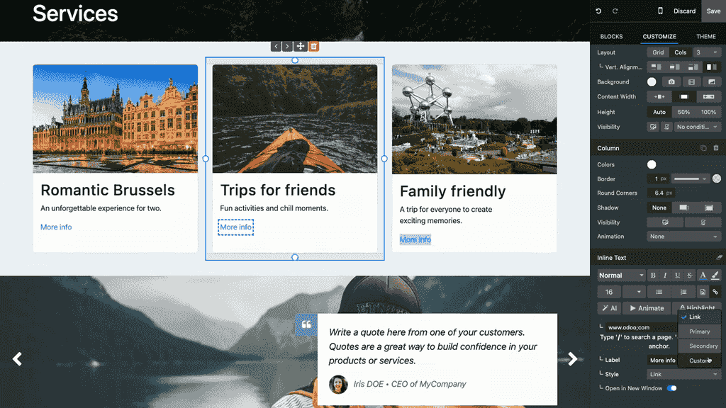 Link customization options showing style, size, shape, and color settings