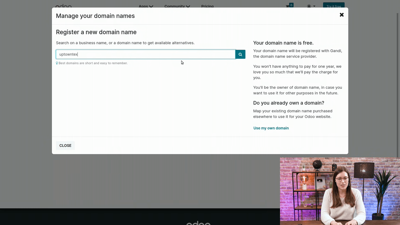 Domain name search field with uptowntextile entered